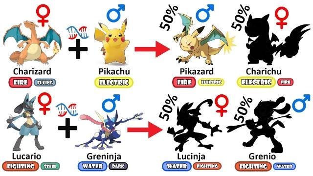 Pokemon fusion generator character creation